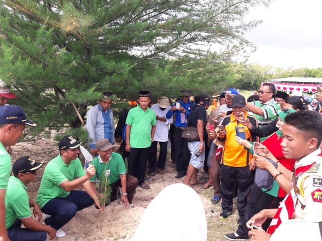Cegah Abrasi, Bupati dan Ratusan Orang Tanam Seribu Cemara Laut di Kalipang