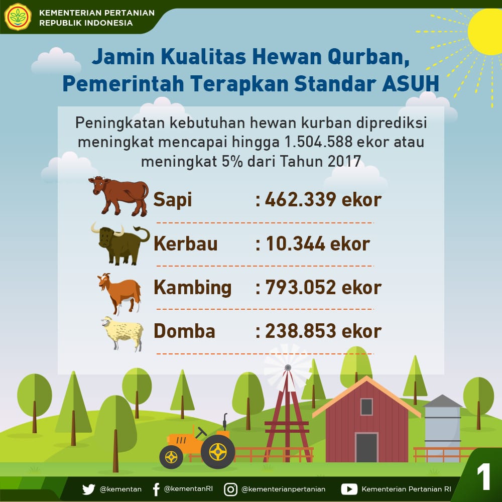 Jamin Kualitas Daging  Kurban, Pemerintah Terapkan Standar ASUH