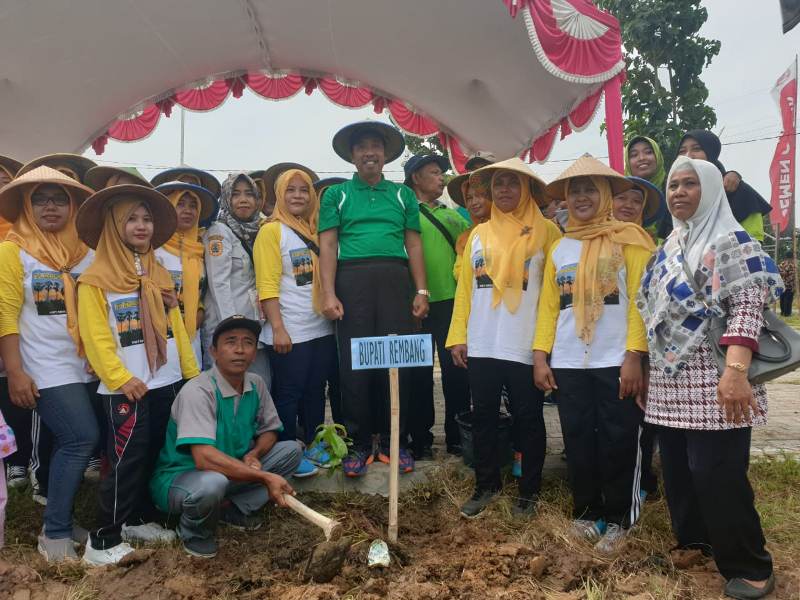 Setelah Ditanam, Jangan Lupa Merawat