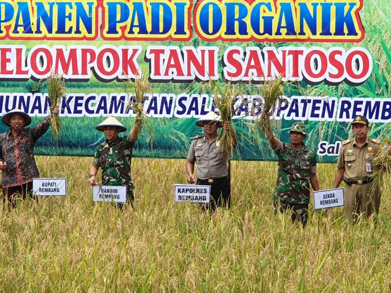 Dukung Pengembangan Padi Organik, Bupati Beli Beras 1 Kwintal