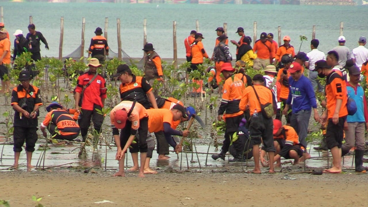Peserta Jambore Relawan Nasional Tanam 11 Ribu Mangrove
