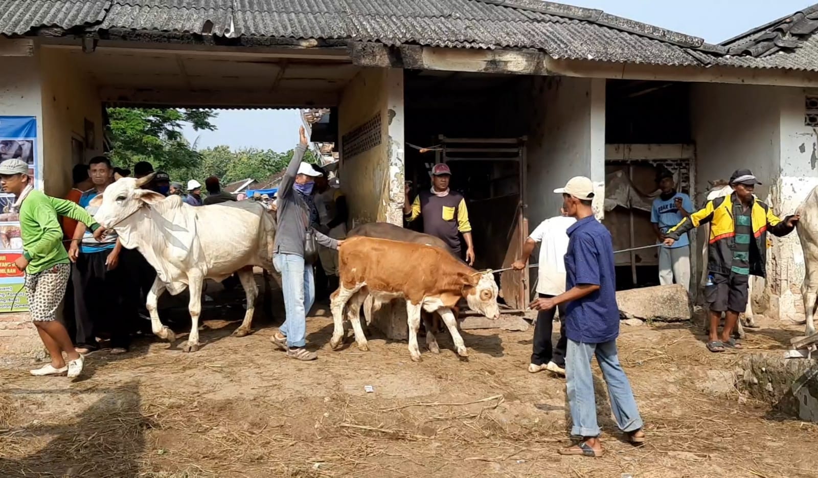 Pekan Depan, Pasar Hewan di Rembang Ditutup Selama Dua Pekan