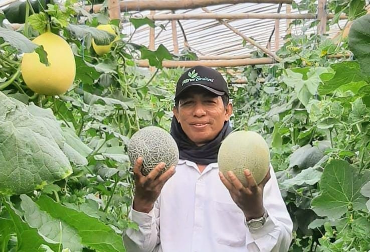 Sukses Kembangkan Melon Premium, Petani Desa Kedungtulup Buka Wisata Edukasi Petik Melon