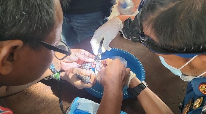 Damkar Rembang Lepas Cincin di Kaki Burung Perkutut, Pertama Kalinya Tangani Kasus Seperti Ini